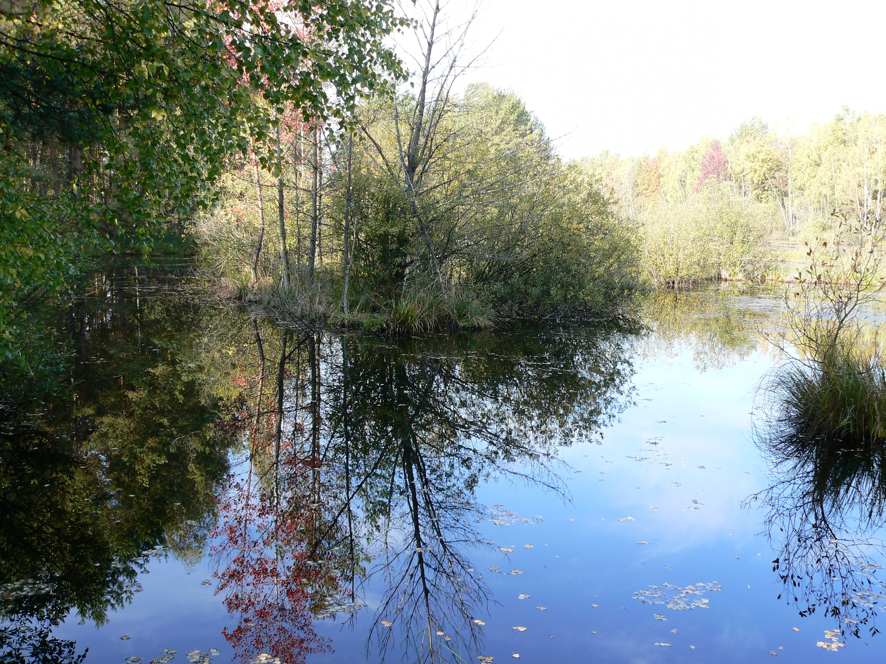 P1040830